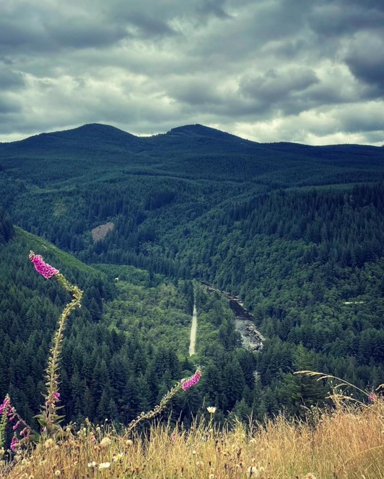 Gorgeous Gateway To The Columbia River Gorge Washougal Buitenkant foto