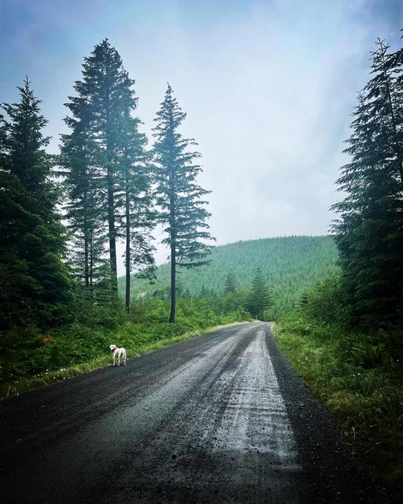 Gorgeous Gateway To The Columbia River Gorge Washougal Buitenkant foto